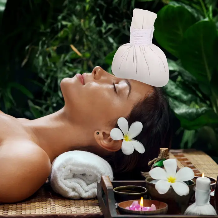 Ensemble de 2 boules à herbes chinoises chauffantes pour massage