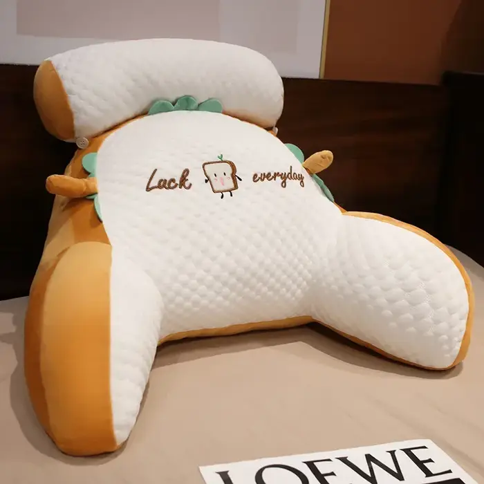 1 oreiller de lecture ergonomique avec support dorsal réglable