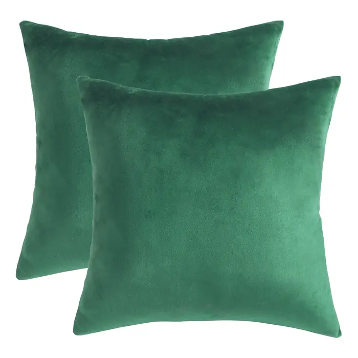 Ensemble de 2 housses de coussin décoratives vertes