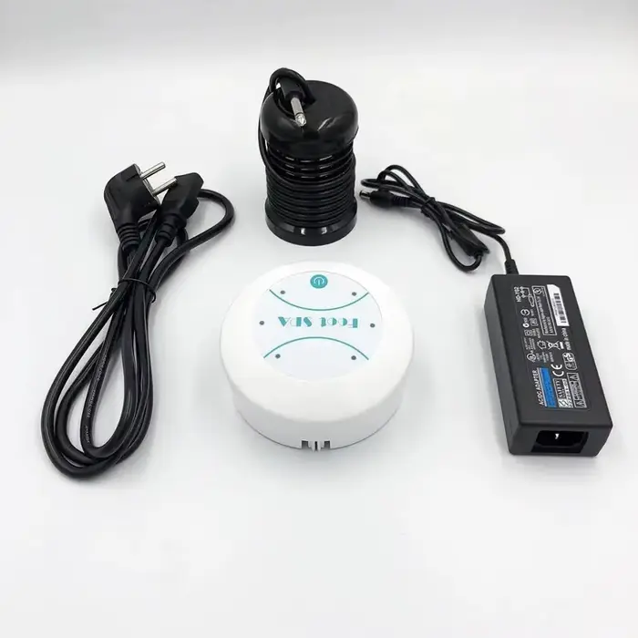 Machine de Spa ionique de désintoxication des pieds, bain de pieds, masseur de désintoxication, Mini