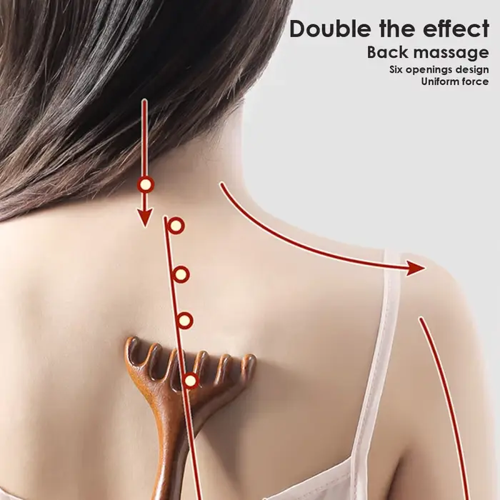 Peigne de Massage méridien antistatique à 6 griffes
