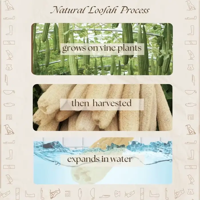 Une douche entière luffa environ 30-40 cm 100% naturel SPA beauté bain éponge corps épurateur bouffée exfoliant Lofa
