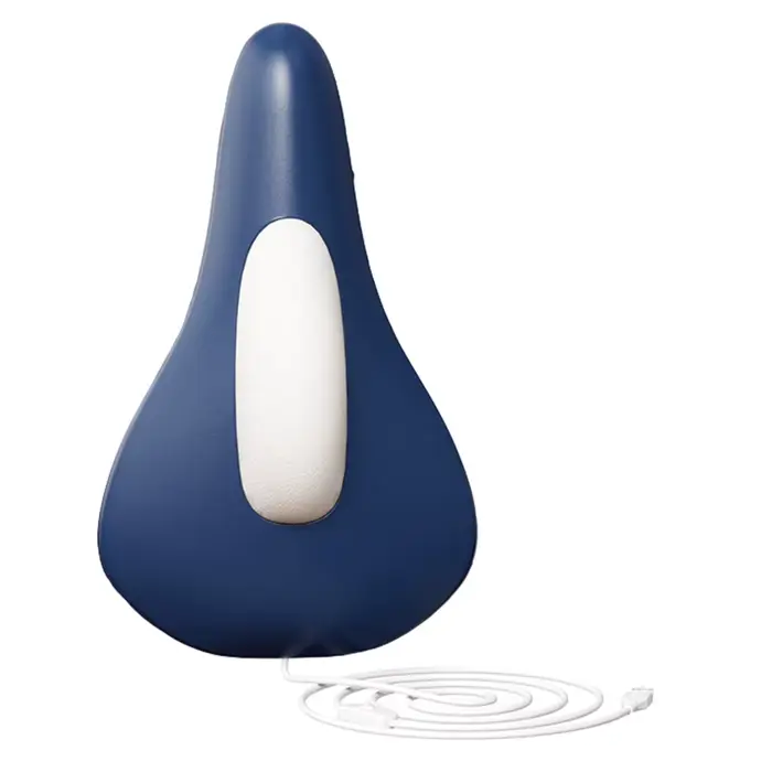 Appareil électrique de renforcement du plancher pelvien, appareil ergonomique d'entraînement des mus
