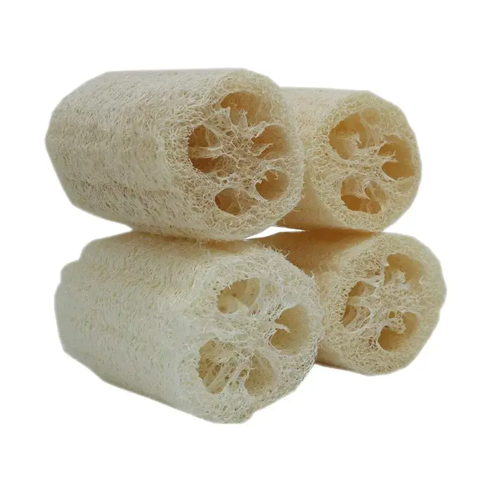 4 pièces/paquet Loofahs organiques Loofah Spa épurateur exfoliant naturel Luffa éponge de lavage du corps enlever la peau morte fait savon 4 pouces