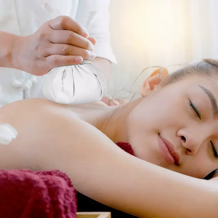 Ensemble de 2 boules à herbes chinoises chauffantes pour massage