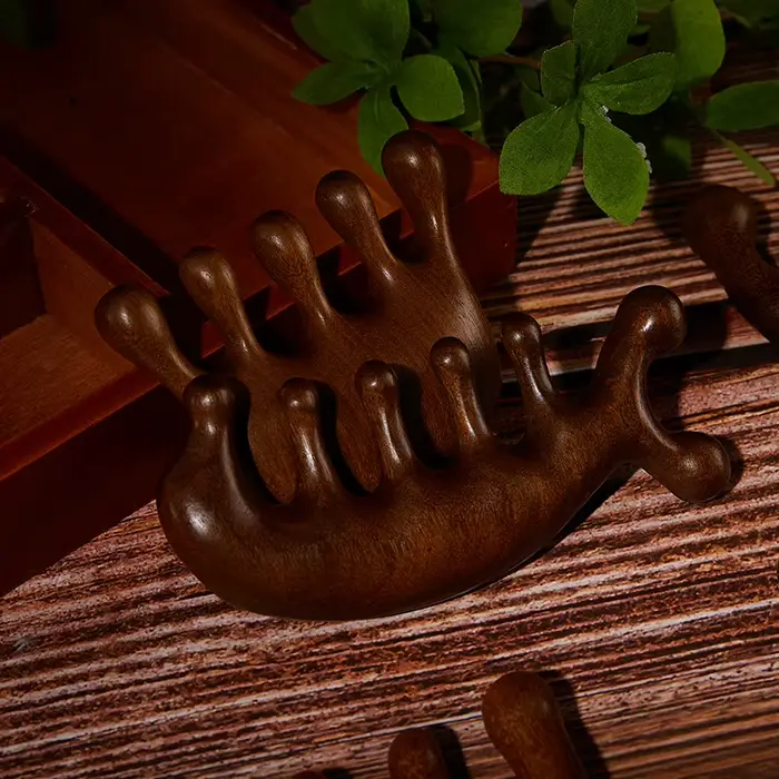 Peigne de Massage thérapeutique en bois