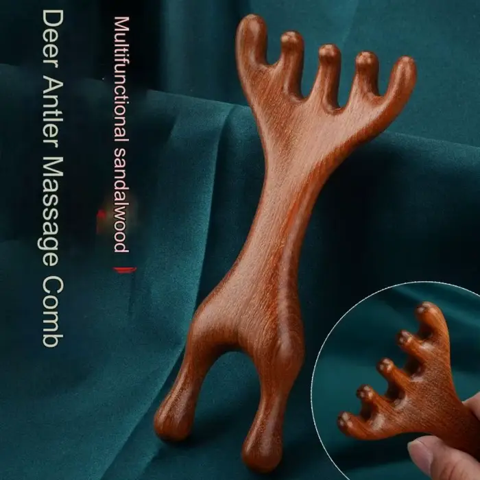 Peigne de Massage méridien corporel à Double tête
