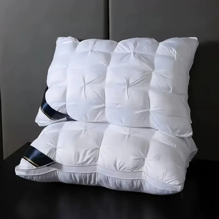 Oreillers Confortables pour Dormir