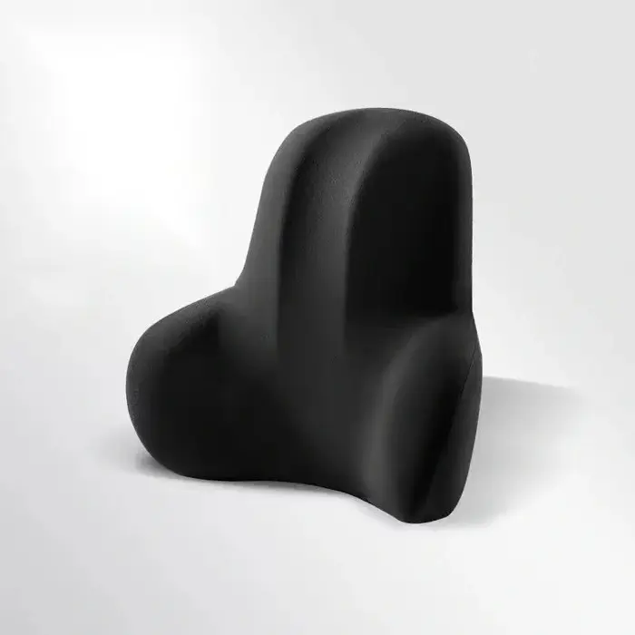 Coussin de soutien lombaire deux-en-un