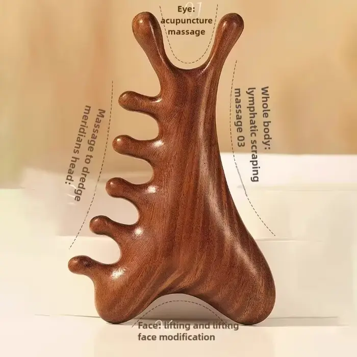 Masseur corporel et crâne