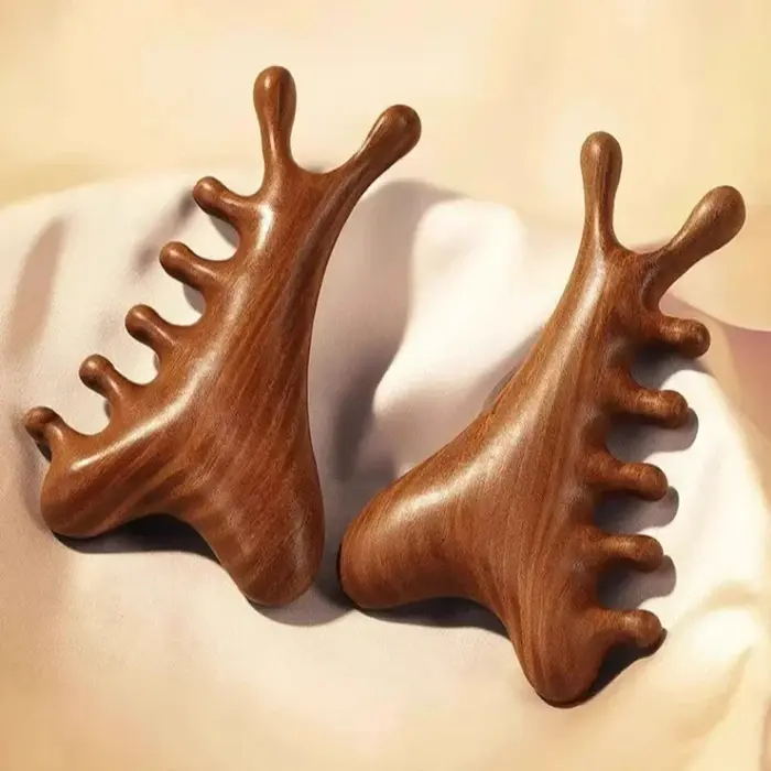Masseur corporel et crâne