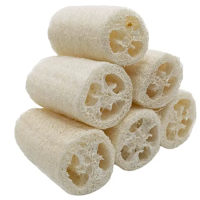 4 pièces/paquet Loofahs organiques Loofah Spa épurateur exfoliant naturel Luffa éponge de lavage du corps enlever la peau morte fait savon 4 pouces