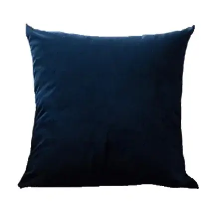 Housse de coussin en velours
