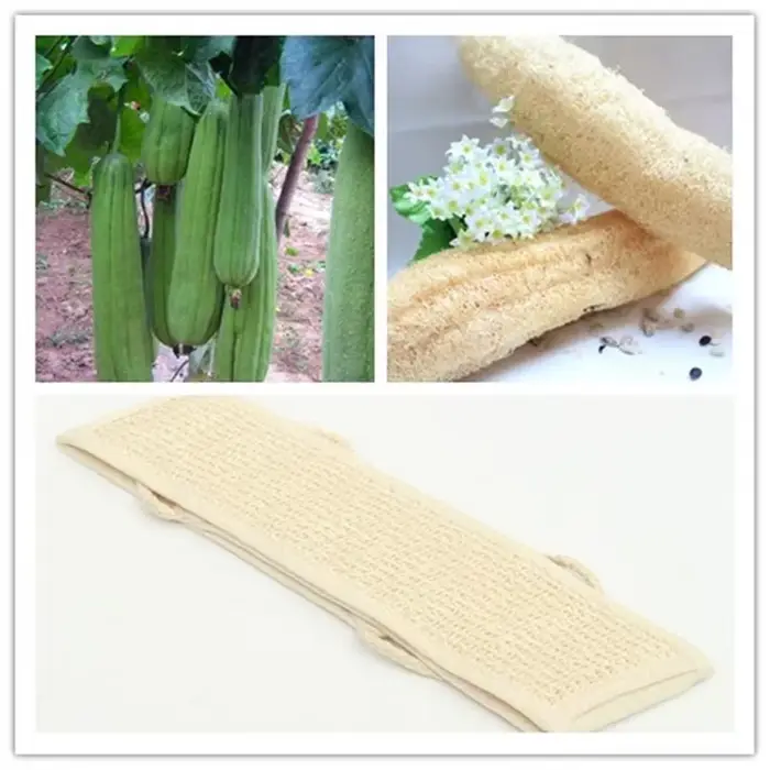 Éponge de massage exfoliante douce naturelle en loofah pour le bain et la douche