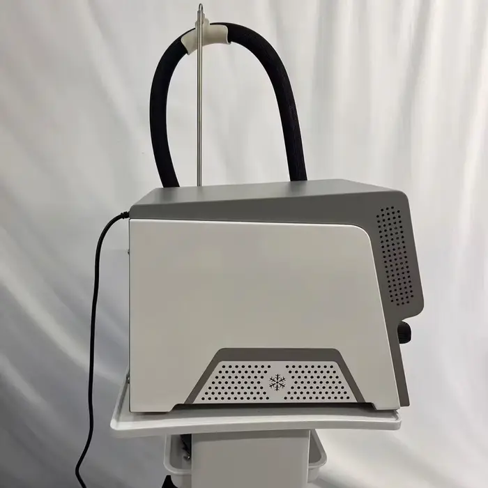 Système de refroidissement à air froid Cryo 6 -35 ° Appareil professionnel