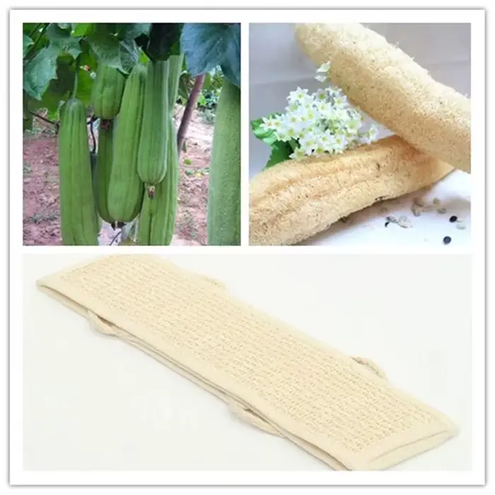 Loofah doux naturel pour le bain et la douche