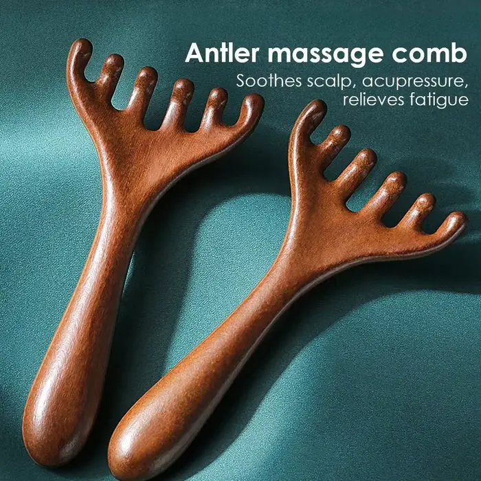 Peigne de Massage méridien antistatique à 6 griffes